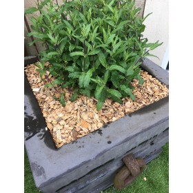 Plaquettes de Châtaigniers 100L