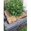 Plaquettes de Châtaigniers 100L