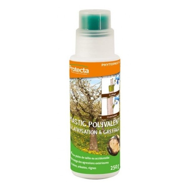 Mastic Souple PHYTOPAST ® flacon de 250 g