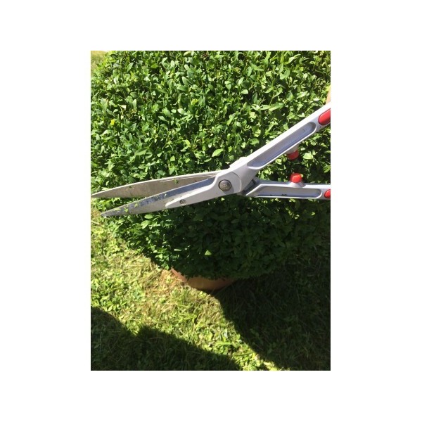 Cisaille à haie 65cm KR1000 ARS
