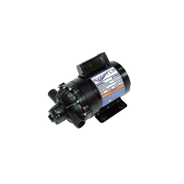 Motopompe 12V pour chassis IBC