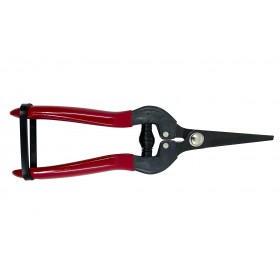 Epinette 19cm SCF190 PCS