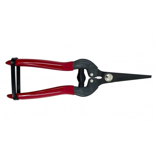 Epinette 19cm SCF190 PCS