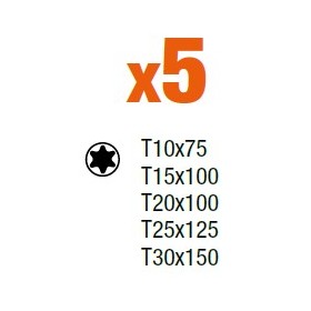 Jeu de 5 tournevis TORX® FIT BAHCO