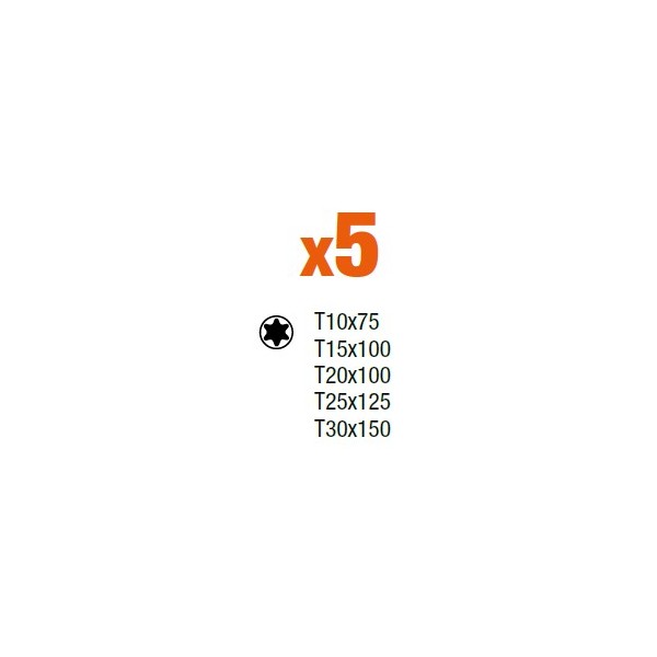 Jeu de 5 tournevis TORX® FIT BAHCO