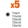 Jeu de 5 tournevis TORX® FIT BAHCO