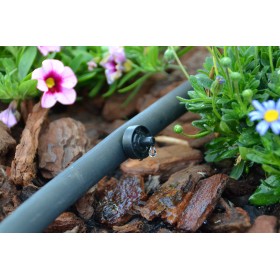 10 goutteurs auto régulant/perçant 8L/h