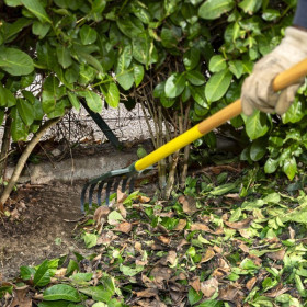 Balai à haies 17cm XR1 Duopro® EM130 bois Leborgne