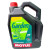 Huile Garden 2 temps 5L MOTUL