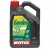 Huile Garden 2 temps MOTUL