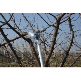 Coupe branche demultiplie F200 Felco