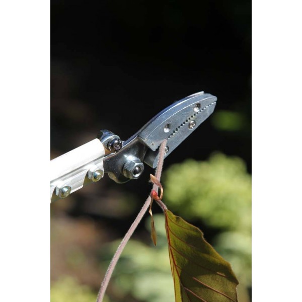 Sécateur long manche cueille fleurs ARS