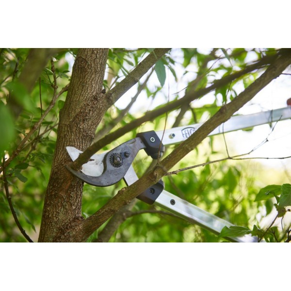 Coupe branche F211-60 Felco