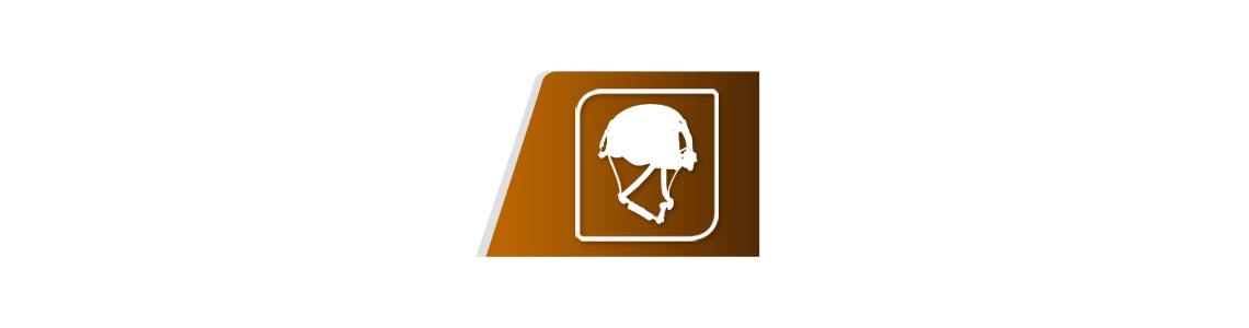 Casque d'élagage