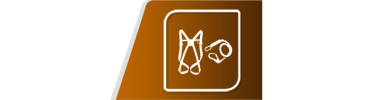 Kit élagage