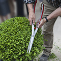 Outils pour tailler et couper