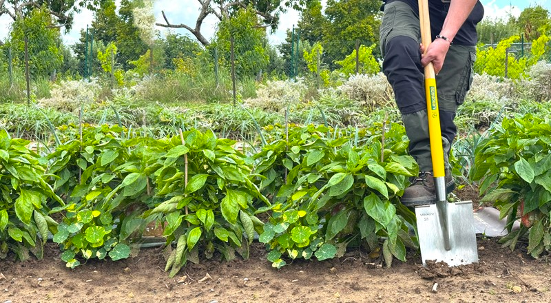 LOUCHET SENLIS POLI 28x17 EM100 BOIS